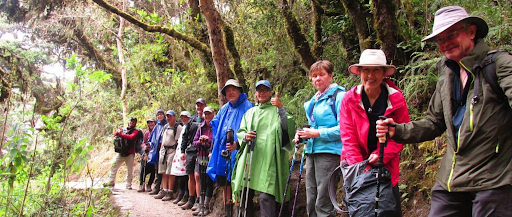 Inca Trail Tour Operators: How to Choose the Best Company for Your Machu Picchu Adventure