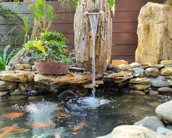 How to Choose and Maintain British Pond Plants Successfully